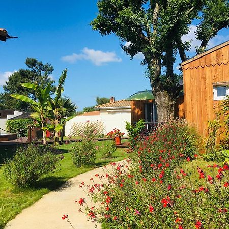 Les Petits Chalets De Kzo La Teste-de-Buch Eksteriør billede